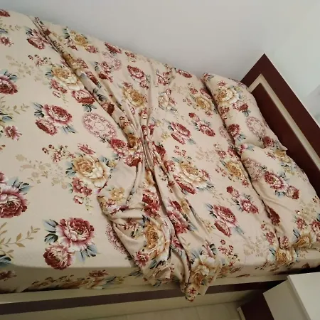 Araniti Lägenhet Velipojë