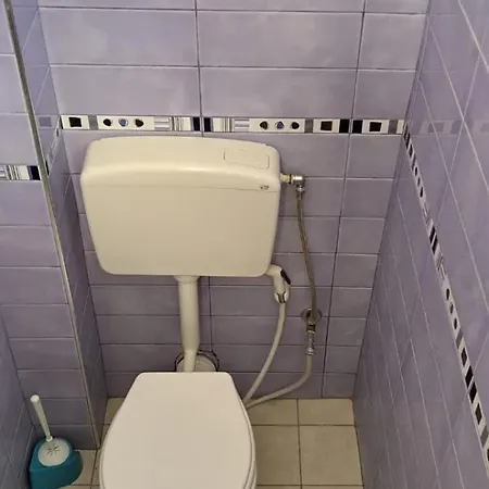 Araniti Velipojë
